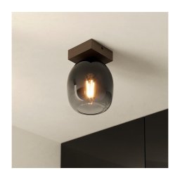 Plafonieră FILAGO Eglo 900825 1xE27/40W/230V