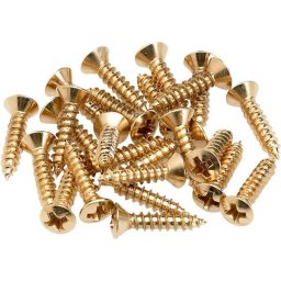 Fender Pickguard/Control Plate Mounting Screws Gold