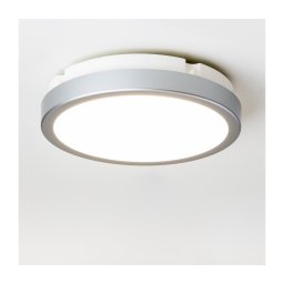 Plafonieră LED pentru baie BRILAGI PERA 18W/230V d. 22 cm IP65 argintiu