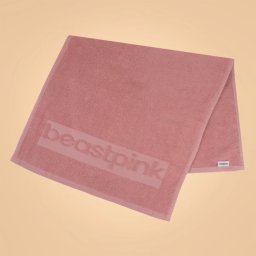BeastPink Prosop fitness Mini Pink
