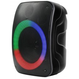 Boxa portabila Bluetooth speaker Rebeltec Stage 300