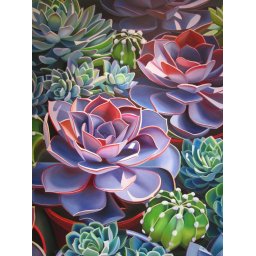 Set goblen cu diamante, cu sasiu, Plante suculente, 30x40 cm
