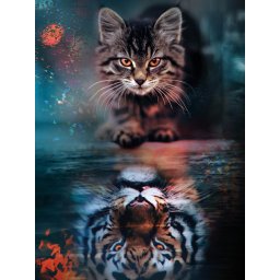 Set goblen cu diamante, cu sasiu, Imagine de sine, 40x50 cm