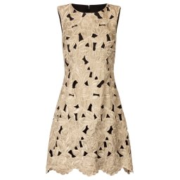 Kraimod Rochie de cocktail bej / ciocolatiu