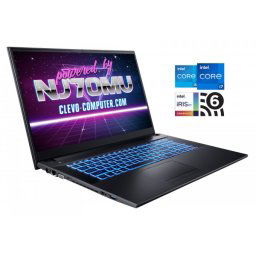 Laptop CLEVO NJ70, Intel Core i7-1165G7, 4.70 GHz, HDD: 1000 GB SSD, RAM: 16 GB DDR4, video: Intel Iris Xe Graphics, webcam, WINDOWS 10 PRO