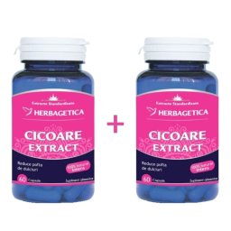 Cicoare Extract 120cps Herbagetica