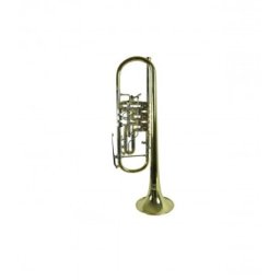Parrot 6414L Trompeta