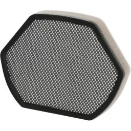 Filtru de spuma hexagonal BOSCH 12012937