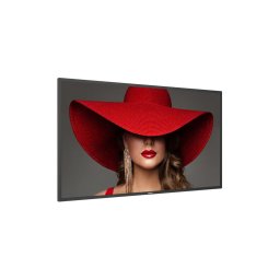 Philips 50BDL4650D D-Line - 50" Class (49.5" viewable) LED-backlit LCD display - 4K - for digital signage