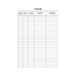 Registru intrare-iesire corespondenta, A4, C100, tipar fata-verso, 3 bucati/set