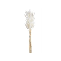Buchet lagurus flori uscate color pentru aranjamente florale