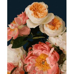 Set pictura pe numere, cu sasiu, Buchet de bujori, 40x50 cm