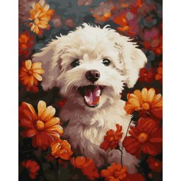 Set pictura pe numere, cu sasiu, Catelus in flori, 40x50 cm