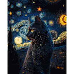 Set pictura pe numere, cu sasiu, Pisica neagra si stelele, 40x50 cm