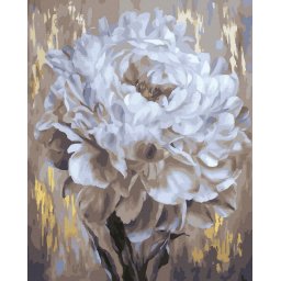 Set pictura pe numere, cu sasiu, Bujor alb - vopsea aurie, 40x50 cm