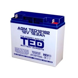 Acumulator AGM VRLA 12V 18,5A dimensiuni 181mm x 76mm x h 167mm F3 TED Battery Expert Holland TED002778 (2)
