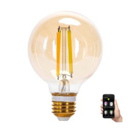 Bec LED Aigostar FILAMENT G80 E27/6W/230V 2700-6500K
