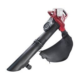 Raider - RDP-SEBV20 - Suflanta de gradina fara acumulatori si incarcator, Li-Ion, 20 V, - Ah, 220 m3/h, turatie reglabila, functie aspirare
