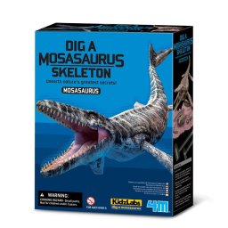 Joc sapa si descopera un Mosasaurus, 4M