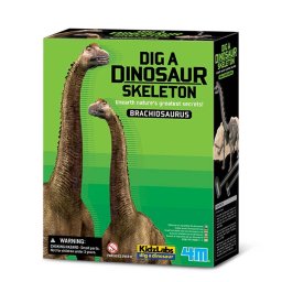 Joc sapa si descopera un dinozaur, Brachiosaurus, 4M