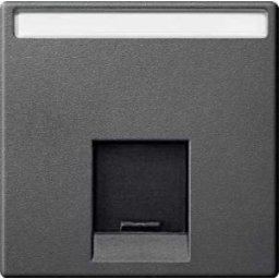 Merten System M Clapeta pentru priza simpla RJ45 , cu loc pentru etichete , antracit