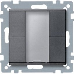 Merten-KNX buton dublu , SystemM, antracit MTN627614