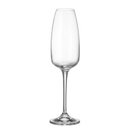 ANSER - Pahare sampanie sticla cristalina Bohemia 290 ml (set 6 bucati)