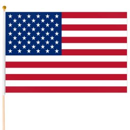 Steagul american 40x30cm mic