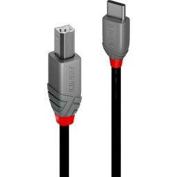 2m USB 2.0 Tip A la Tip B Cablu Lindy 2m USB 2.0 Tip A la Tip B, suporta viteze de transfer de pana la 480Mbps, Anthra Line