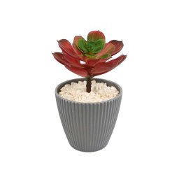 Planta Suculenta In Ghiveci, Gri, Plastic, 16Cm ComfortTravel Luggage