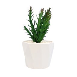 Planta Suculenta In Ghiveci, Mov, Plastic, 18Cm ComfortTravel Luggage