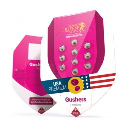 Gushers Feminised USA Premium Seminte