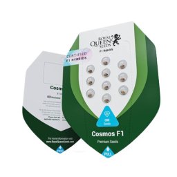 Cosmos F1 CBD Feminised 5 Seminte