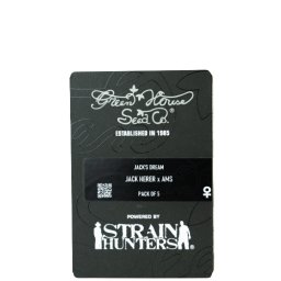 Jack s Dream Feminised USA Seminte