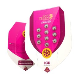Ice Feminised Seminte