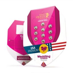 Wedding Crasher Feminised USA Premium Seminte