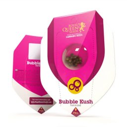 Bubble Kush Feminised Seminte
