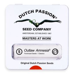 Outlaw Amnesia Feminised 5 Seminte