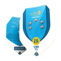 Medical CBD Mix Feminised 5 Seminte Royal Highness Royal Medic Dance World Medical Mass Painkiller XL