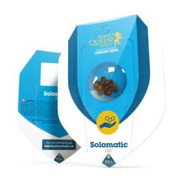 Solomatic CBD Auto Feminised Seminte