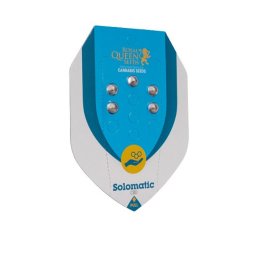 Solomatic CBD Auto Feminised Seminte