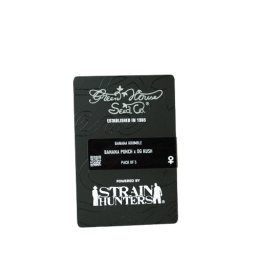 Banana Krumble Feminised USA Seminte