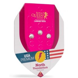 North Thunderfuck Feminised USA Premium Seminte