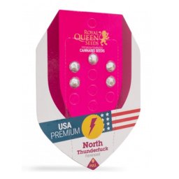 North Thunderfuck Feminised USA Premium Seminte