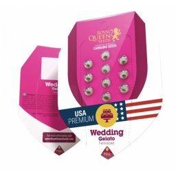 Wedding Gelato Feminised USA Premium Seminte