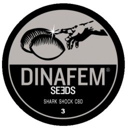 Shark Shock CBD Feminised 3 Seminte