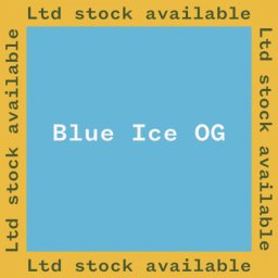 Blue Ice OG Feminised 5 Seminte