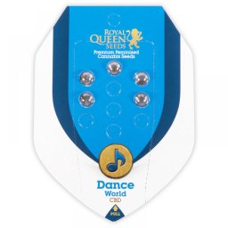 Dance World CBD Feminised Seminte