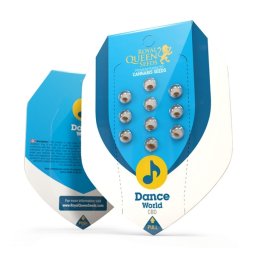 Dance World CBD Feminised Seminte