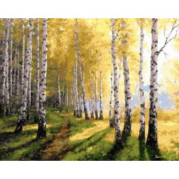 Set pictura pe numere, cu sasiu, Crang de mesteceni, 40x50 cm